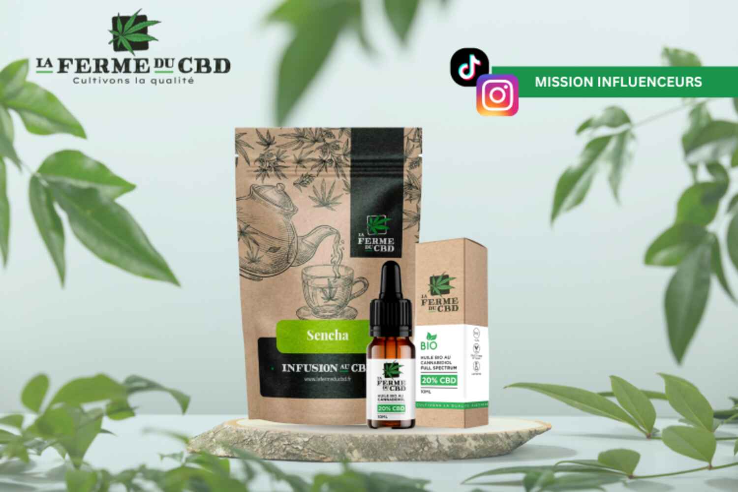 50 DUO huile CBD 20 % + infusion Sencha Menthe