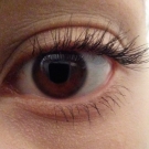 Swatch de Sofia : Volume Millions de Cils Fatale, L'Oréal Paris