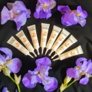 Swatch de Diana74 : Soins réparation gelée royale, Dessange Compétence Professionnelle