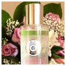 Swatch de Copinesdebonsplans : Vinaigre de Beauté Aura Mirabilis, Roger&Gallet