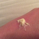 Swatch de Chocolateconchurros : Beurre corporel, I Love Cosmetics