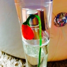 Swatch de Chocolateconchurros : Flower By Kenzo, Kenzo