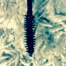 Swatch de Chocolateconchurros : Hypnôse Precious Cells, Lancôme