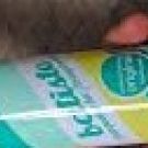 Swatch de katniss59 : Shampoing sec Blush, Batiste