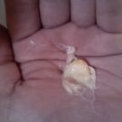 Swatch de Mariem01 : Crème De Soin Avocat Karité, Garnier