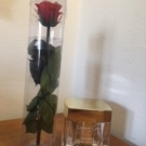 Swatch de Glycine : Masque Quintessence pour Cheveux Déshydratés Fragilisés & Cassants 200ml, Leonor Greyl