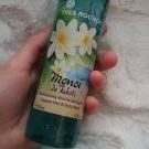 Swatch de mrngmk : Shampooing douche des lagons, Yves Rocher