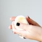 Swatch de Mon billet poudré : Detail Pore Clean Brush Brosse Nettoyante Visage, Tosowoong