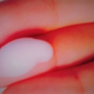 Swatch de Linab7 : Douche Lait, Cottage