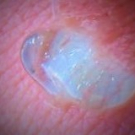 Swatch de Linab7 : Gel d'Escargot Slakkenwonder, Action