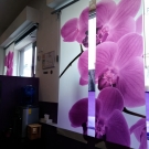 Swatch de Linab7 : Modeling Bloomea, Bloomea