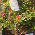 Swatch de Sofifi62 : Soleil biafine, Les Dermo-Cosmétiques de Biafine