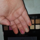 Swatch de meghanne13 : Modern Renaissance - Palette de fards à paupières, Anastasia Beverly Hills