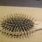 Swatch de June1107 : Brosse Ovale grand modèle, Tek