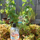 Swatch de julieb : Shampoing Monoï et Huile de Macadamia Bio, Energie Fruit