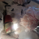 Swatch de Clarence22 : Mavala Scientifique, Mavala