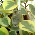 Swatch de Minapix : Soin NIOXIN 3D Intensive Diaboost, Nioxin