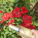 Swatch de justineblabla : Huile Élixir Réparateur LuxeOil, System Professional