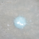 Swatch de sophie69400 : Galets de bain, Akileïne