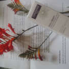 Swatch de reneo 57 : Soin Lissant Contour des Yeux, Condensé Paris