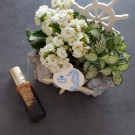 Swatch de Myl_et_un_test : Advanced Night Repair - Concentré Régénération Intense, Estée Lauder