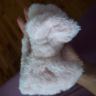 Swatch de Demo6 : Headband, PS...