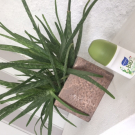 Swatch de jorrox14800 : Bio Aloé Véra pointe de vanille, Monsavon