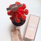 Swatch de Dame_Coquelicote : Idôle, Lancôme