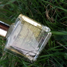 Swatch de Lily53 : Huile Prodigieuse - Huile Sèche multi-fonctions, Nuxe