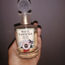 Swatch de cherfi.naouel69 : White gardenia, Monotheme