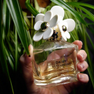 Swatch de lustic : Daisy - Eau de Toilette, Marc Jacobs Parfums