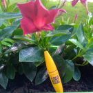 Swatch de Linab7 : Colossal Volum' Express, Maybelline New York