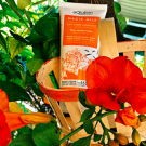 Swatch de Esprit d'Azur : MAGIC MILK, OOlution