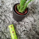 Swatch de Makeup.beauty.test : Baume lèvres et Gommage lèvres, Sephora