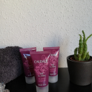 Swatch de Makeup.beauty.test : Gel Douche Thé des Vignes, Caudalie