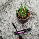 Swatch de Makeup.beauty.test : Mascara Worth the hype Nyx, NYX Professional Mak