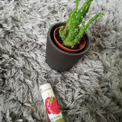 Swatch de Makeup.beauty.test : Baume à lèvre Framboise, Yves Rocher