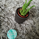 Swatch de Makeup.beauty.test : Baume a lèvres, Hema