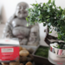 Swatch de pashkhan : Crème Régénérante Fermeté Absolue, Veracova