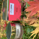 Swatch de Chic50something : Crème Régénérante Fermeté Absolue, Veracova