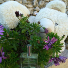 Swatch de Mammab : Huile Sèche, Luxéol