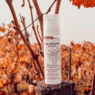 Swatch de Mvbrt : Gel Masque Phyto-Peeling 3min, Cinq Mondes