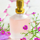 Swatch de sonjay111roy : Face Wash, Lord & Berry