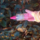 Swatch de Influence34 : Indra, Ulric de Varens