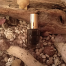 Swatch de fl.eur1660 : Color Riche Le Vernis à l'Huile, L'Oréal Paris