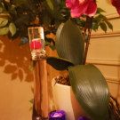 Swatch de LINDSAY : Flower By Kenzo, Kenzo