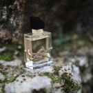 Swatch de Anna Lang : Libre, Yves Saint Laurent