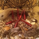 Swatch de fl.eur1660 : Revitalift Laser X3 Cure 7 Jours Ampoules Effet Peeling, L'Oréal Paris