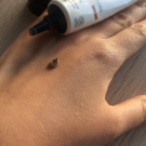 Swatch de GuntilipsSkincare : Plant Stem Cell - Age Defying Sunscreen - SPF 30, Madara