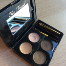 Swatch de GuntilipsSkincare : Brow Envy Kit - Kit pour sourcils, Too Faced